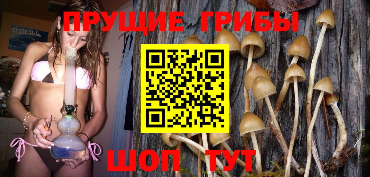 Псилоцибиновые грибы Psilocybe Мирный