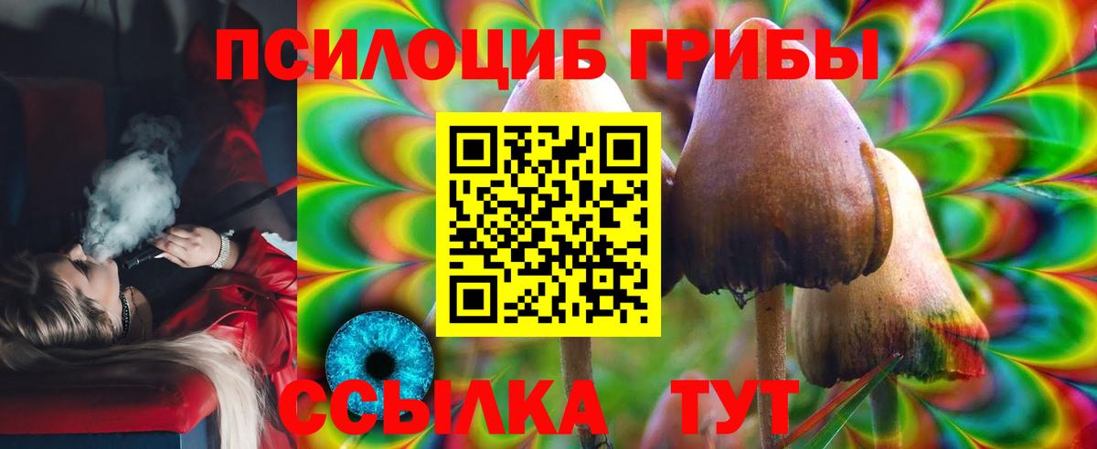 Мирный  Псилоцибиновые грибы мицелий  Вход с VPN 